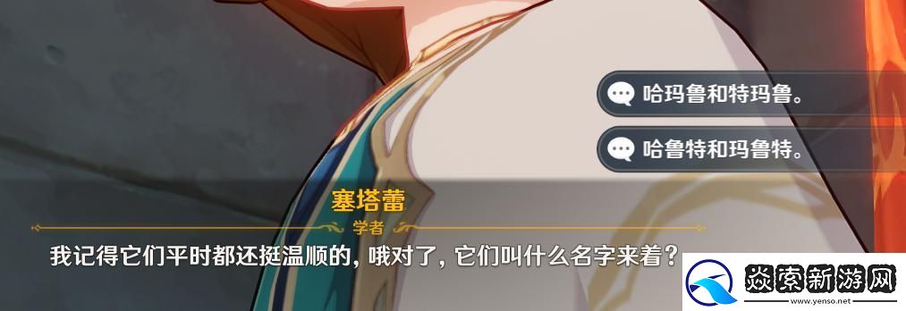 原神两只猫的名字塞塔蕾联系工作问题答案大全