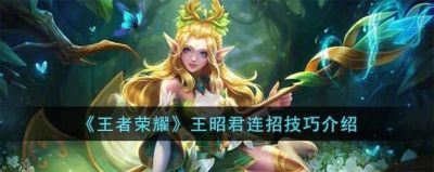 昭君连招究竟是213还是231