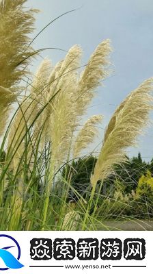 田福和母亲在芦苇中对话