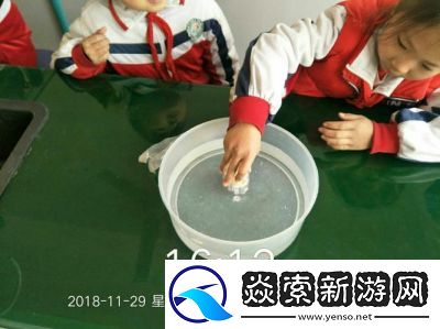 9988色母CMDS成分表揭秘