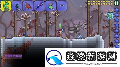 泰拉瑞亚中如何获取宠物小雪人的属性攻略