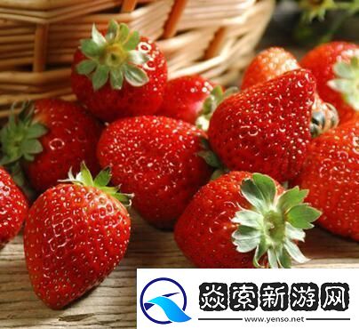 免费畅享草莓视频