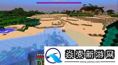 我的世界中的潮汐护符有何用途