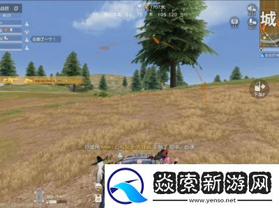 和平精英vs荒野行动