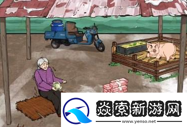 文字来找茬猪圈老人通关攻略