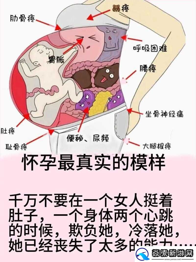 在WWW孕妇的世界里