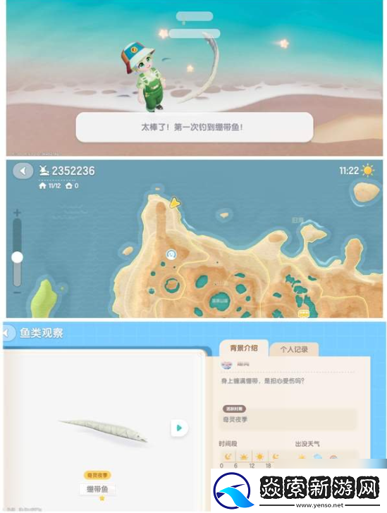 心动小镇绷带鱼怎么钓