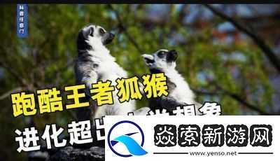 动物王者——狐猴乔伊的独门绝技