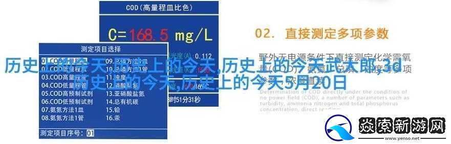 老人玩小处雌女视频所蕴含的独特价值与意义探讨