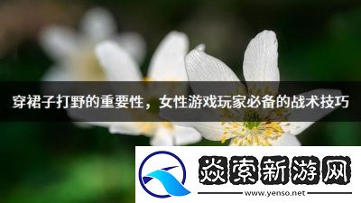 穿裙子打野的好处