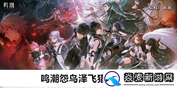 鸣潮怨鸟泽飞猎手位置