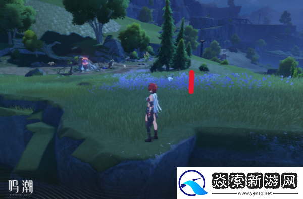 鸣潮怨鸟泽飞猎手位置