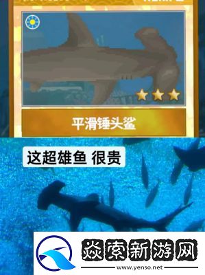 潜水员戴夫猫粮获取攻略及成就解锁方式【完整攻略】