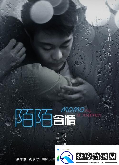 陌陌影视在线观看高清完整版影片网友