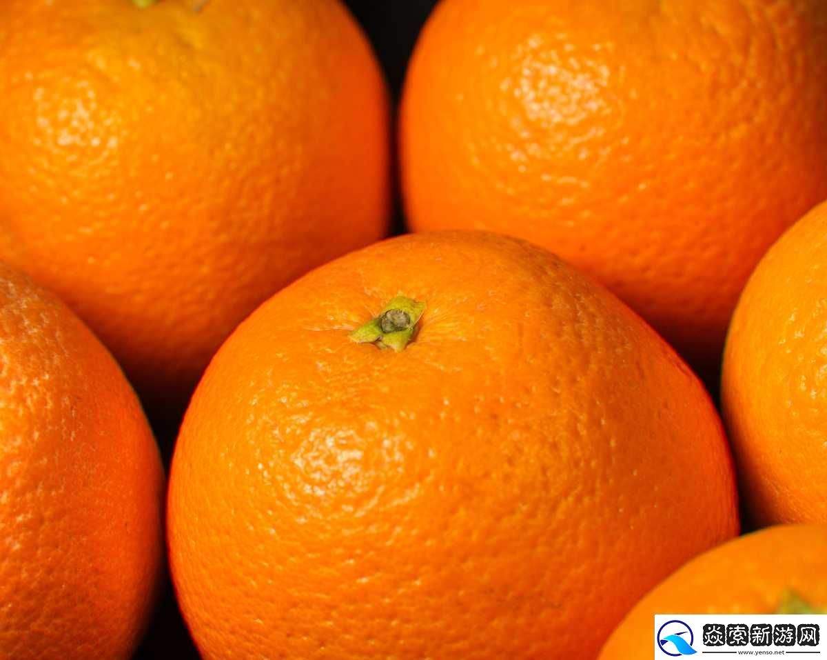 三叶草亚洲码与欧洲码区别水果的奥秘