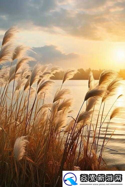 芦苇丛深处中的温情