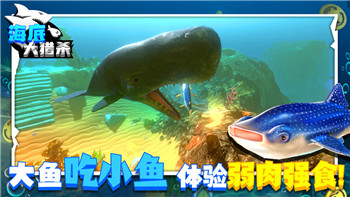 僵尸毁灭工程怎么做绳索