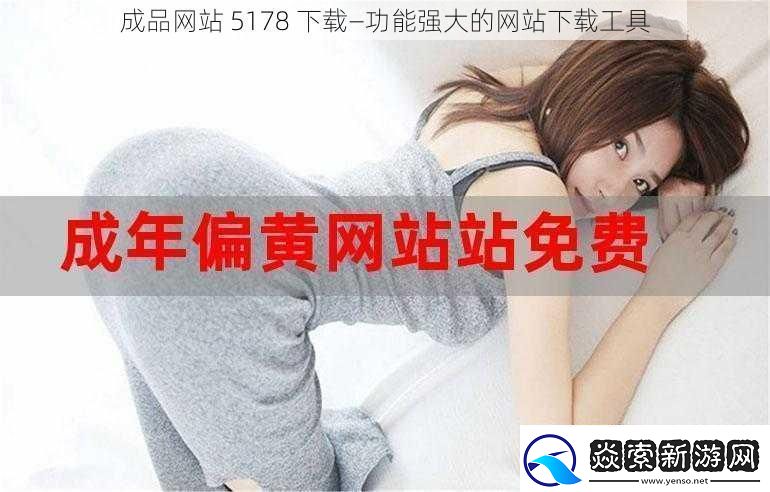 成品站5178下载—功能强大的站下载工具