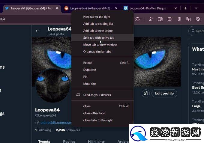 Chrome将推拆分标签页功能