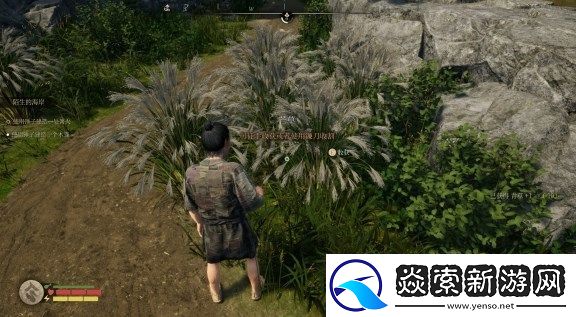 战国王朝资源什么时候刷新一次