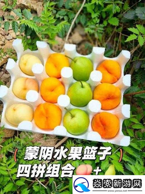 尝尽鲜莓