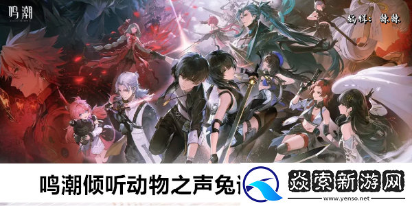 鸣潮倾听动物之声兔语翻译任务攻略