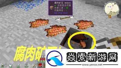 如何净化我的世界的腐肉