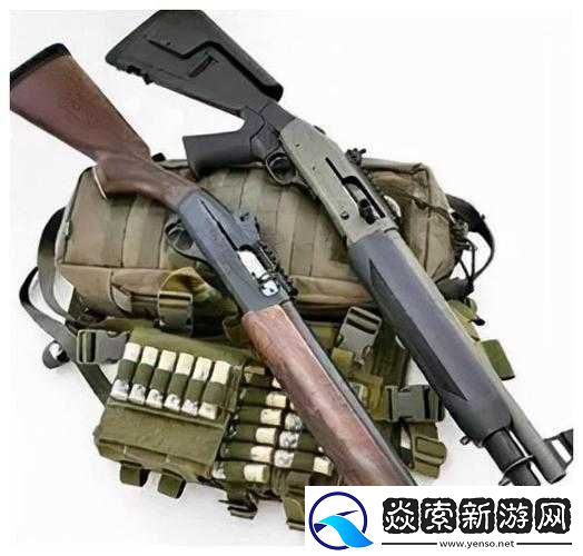 光荣使命游戏中霰弹枪选择指南