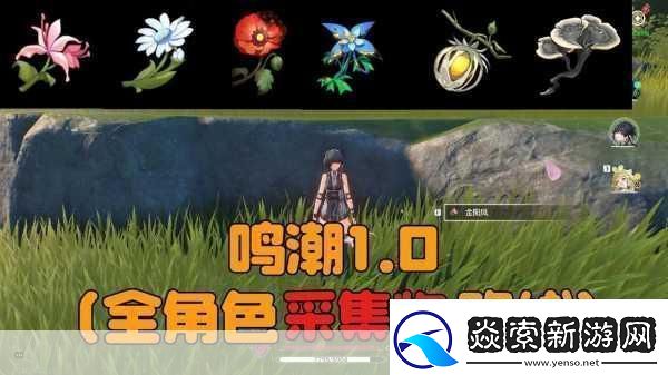 鸣潮珍珠草采集全攻略