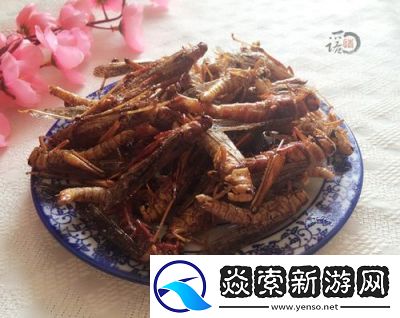 如何烹饪精力蚂蚱