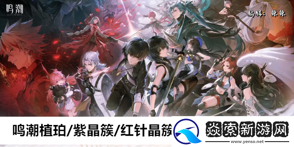 鸣潮植珀/紫晶簇/红针晶簇/辉萤石采集路线