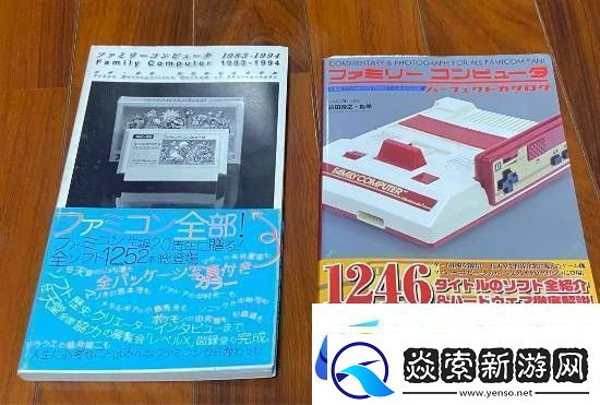 1052盒FC游戏卡带震撼拍卖!差一盒即可全收集