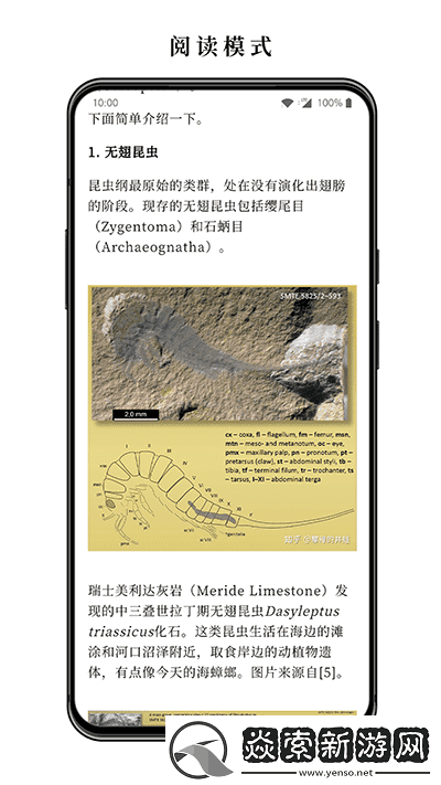 慢读app下载安装