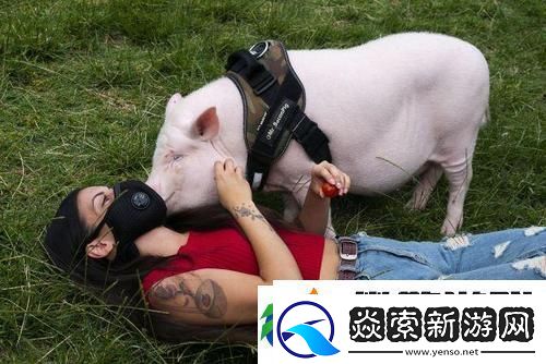 探索“人OR猪OR狗”的多重身份与社会角色