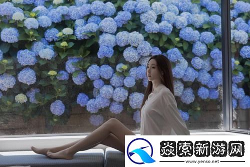 小毛驴影视在线观看引领潮流：让每一部电影都成为你的私人影院！