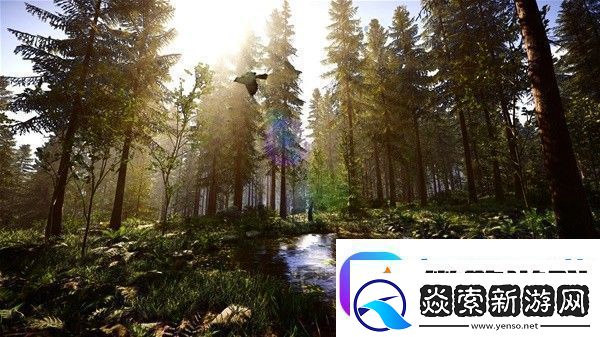 森林之子0正式版控制台代码有哪些