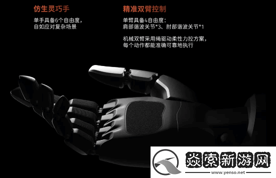 国产人形机器人街边溜达爆火海外