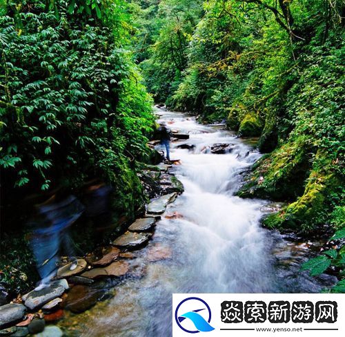 睿智湖门票多少钱