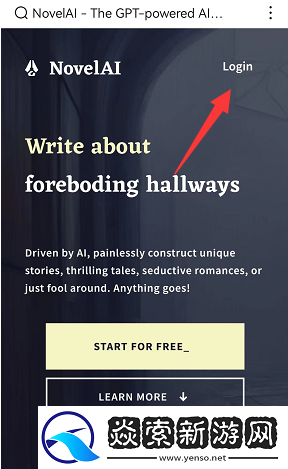 novelai账号注册一览