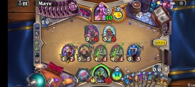 炉石传说狂野娱乐卡组