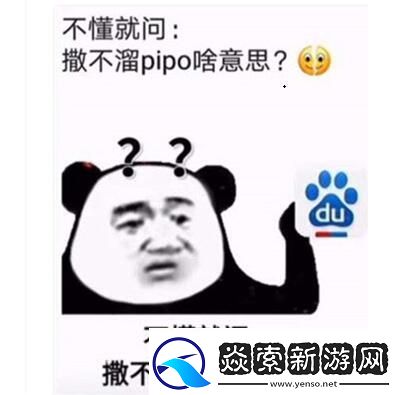 你个撒不溜pipo梗意思、含义、出处介绍