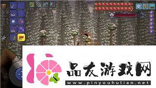 影子武士2流派的样式探索每种流派的独特战斗方式与技能系统