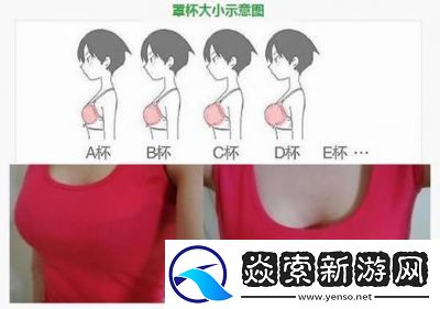 B与B之间的差异