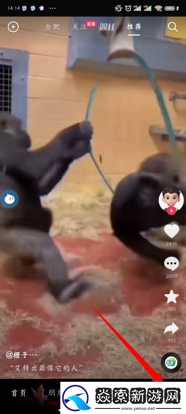 抖音怎么改名字