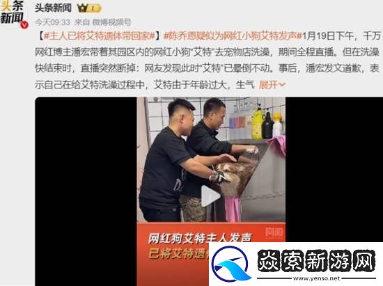 主人已将“艾特”遗体带回家