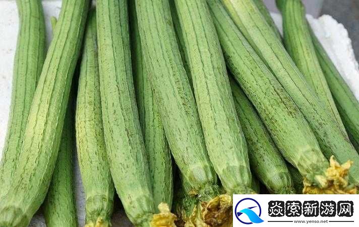 丝瓜秋葵视频在线观看