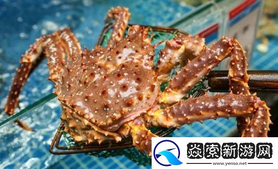 今年帝王蟹的价格一点也不帝王
