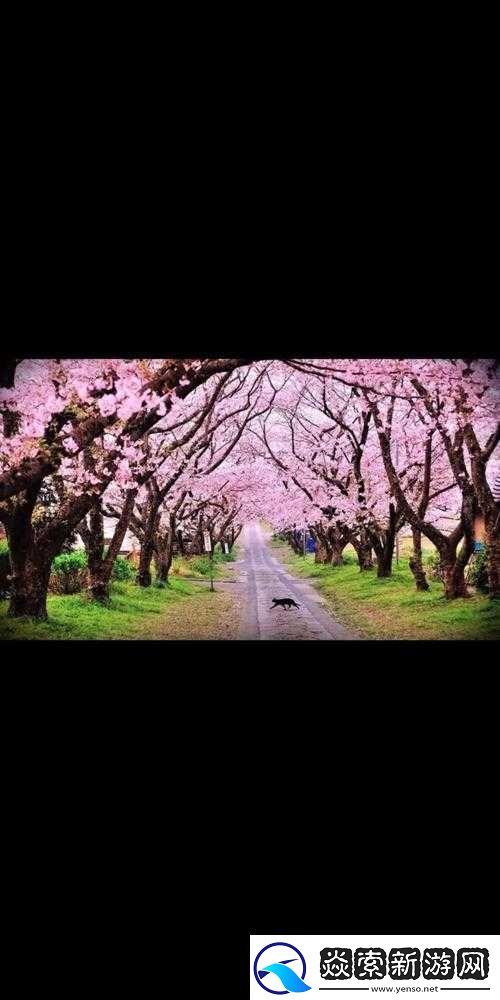 什么是娇小粉嫩大全