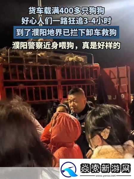 春节归家奇遇记友车内满载爱犬带窝共赴团圆路