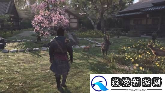 AC影藏身处自由度超高！还能收养野生动物